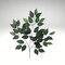 Artificial Green Ficus Spray 23 Inch – Faux Greenery Stem for Wreaths & Arrangements-FG505430